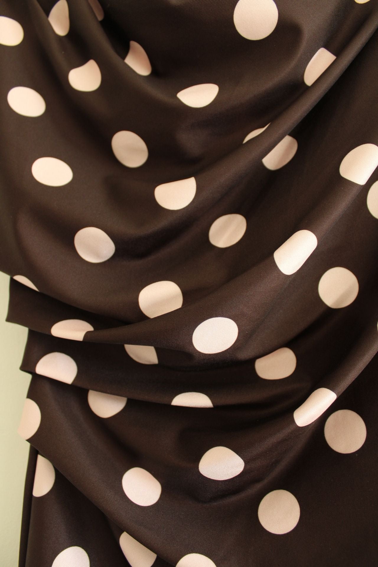 Bruine Dot Top